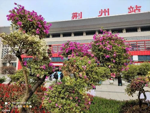 深圳到荊州貨運公司(當天派送）