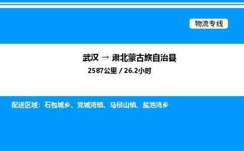 武漢到肅北縣物流專(zhuān)線(xiàn)-武漢至肅北縣貨運(yùn)公司